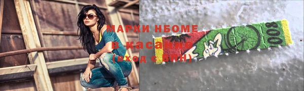 дживик Надым