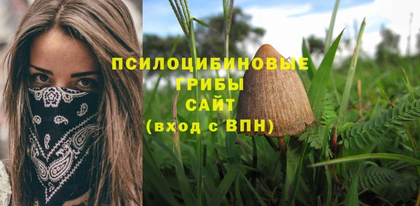 гидра Нефтегорск