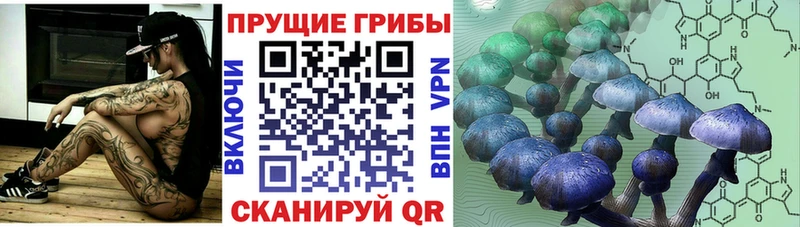 Псилоцибиновые грибы мухоморы  Калтан 